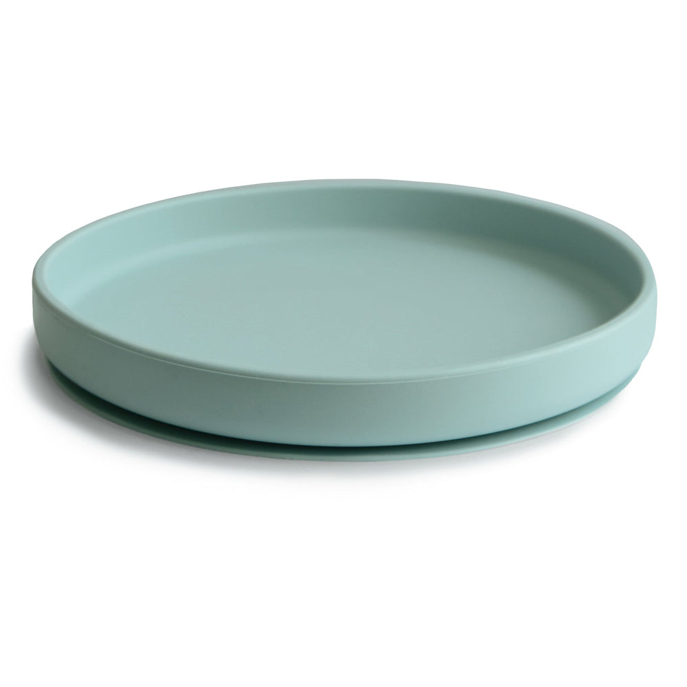 
                  
                    Classic Silicone Suction Plate
                  
                