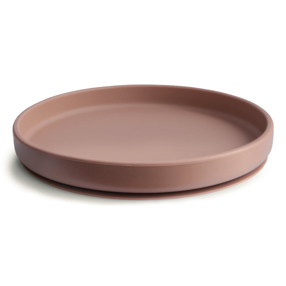 
                  
                    Classic Silicone Suction Plate
                  
                